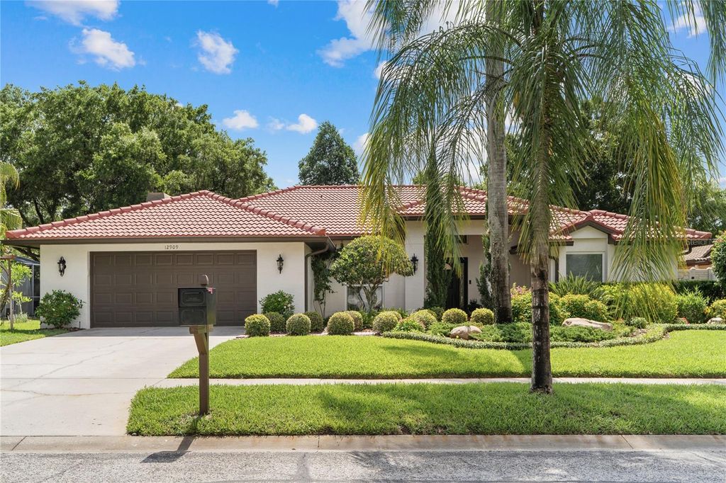 12909 CINNIMON PLACE, Tampa, FL 33624