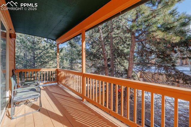 21 Shadowood Place, Woodland Park, CO 80863