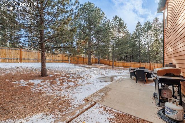 21 Shadowood Place, Woodland Park, CO 80863