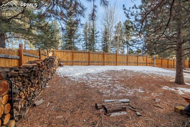21 Shadowood Place, Woodland Park, CO 80863