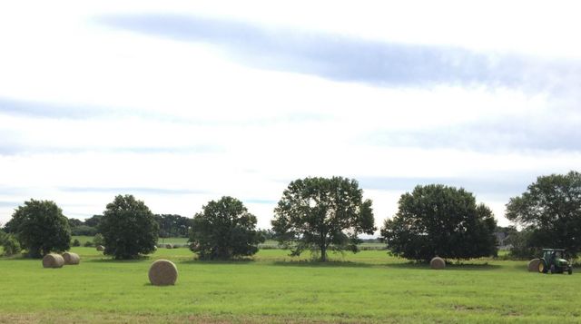 000 Nelson Road, Hempstead, TX 77445