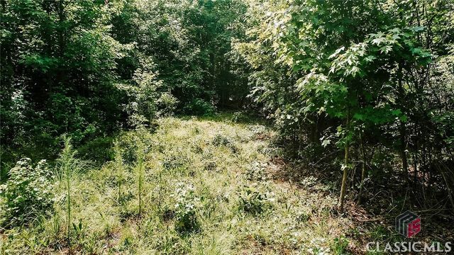 0 Griffin Road, Lavonia, GA 30553