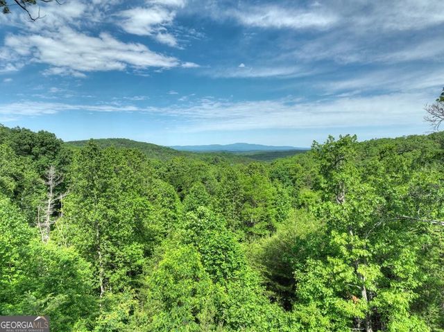 54 Channing Hollow, Morganton, GA 30560