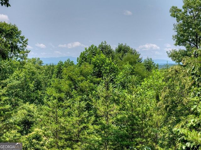 54 Channing Hollow, Morganton, GA 30560
