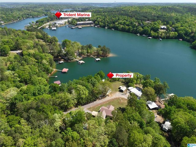 385 COUNTY ROAD 209, Crane Hill, AL 35053