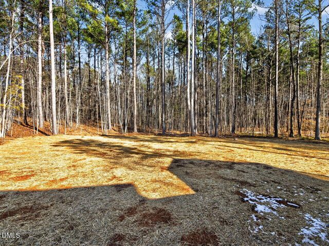 70 Purslane Drive, Franklinton, NC 27525