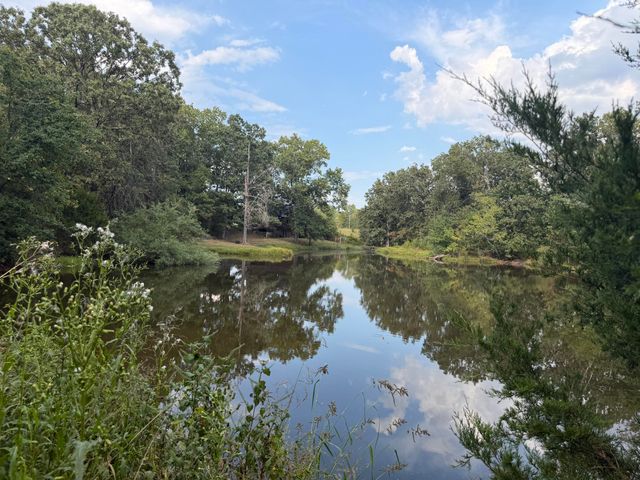 1724 Liberty Road, Rogersville, MO 65742