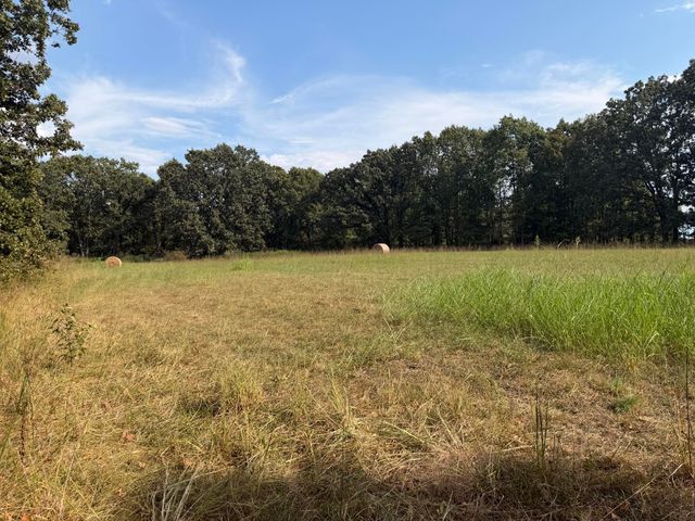 1724 Liberty Road, Rogersville, MO 65742