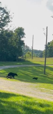 1724 Liberty Road, Rogersville, MO 65742