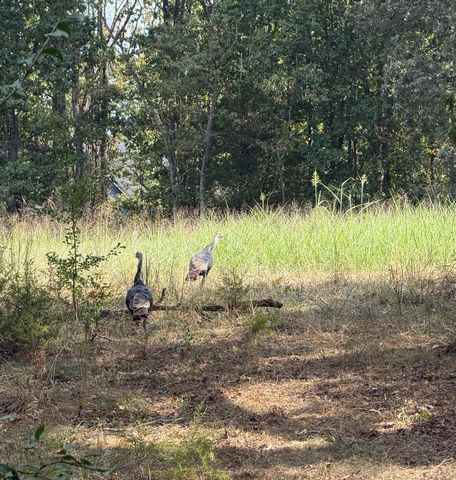 1724 Liberty Road, Rogersville, MO 65742