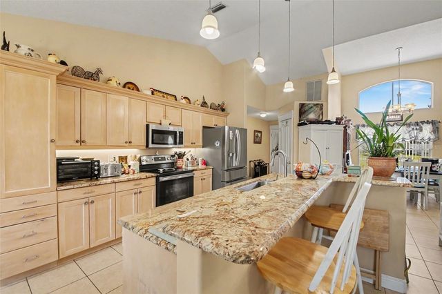 100 MATHER SMITH DRIVE, Oakland, FL 34760