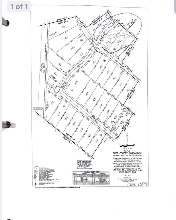 206 Iron Horse Road, Willis, TX 77378