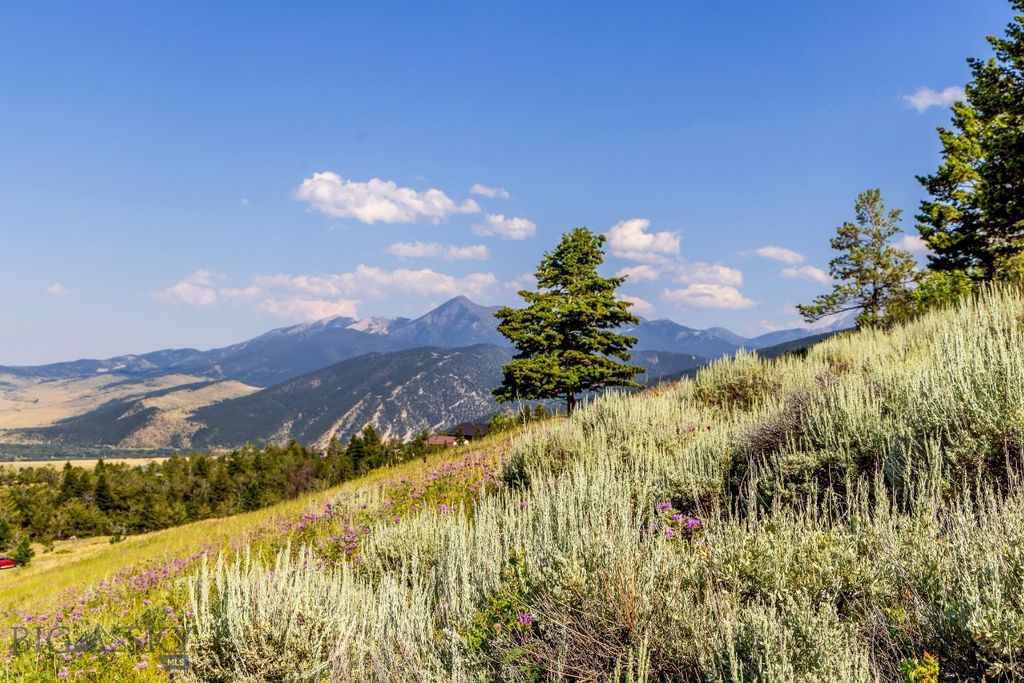 TBD Box Canyon Road, Livingston, MT 59047