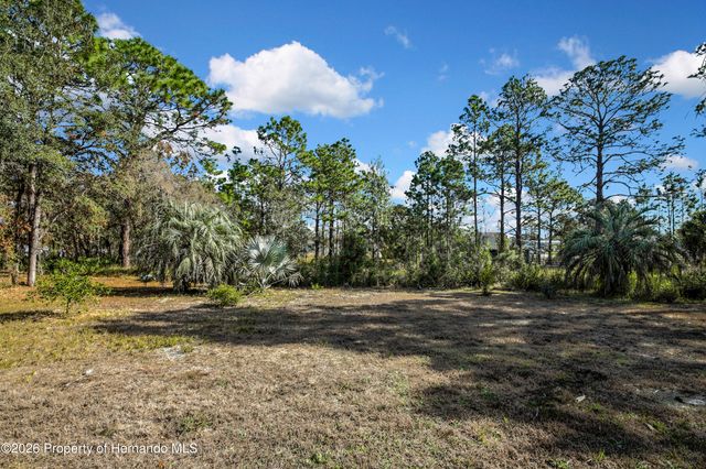 11346 Labrador Duck Road, Brooksville, FL 34614