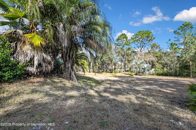 11346 Labrador Duck Road, Brooksville, FL 34614