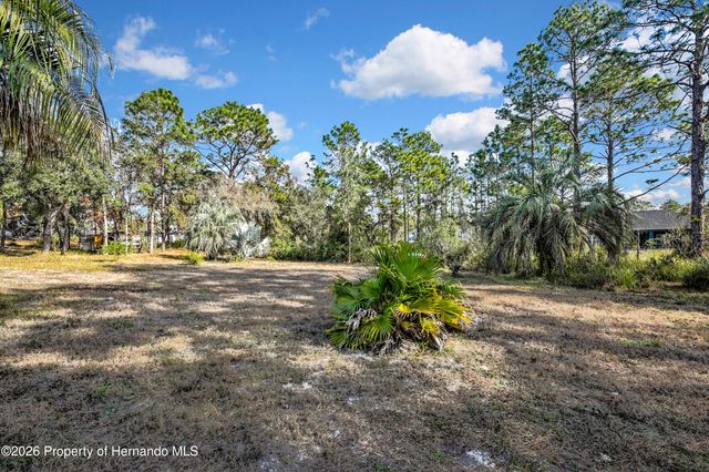 11346 Labrador Duck Road, Brooksville, FL 34614