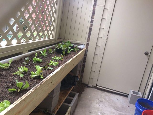 8055 Cambridge Street 79, Houston, TX 77054