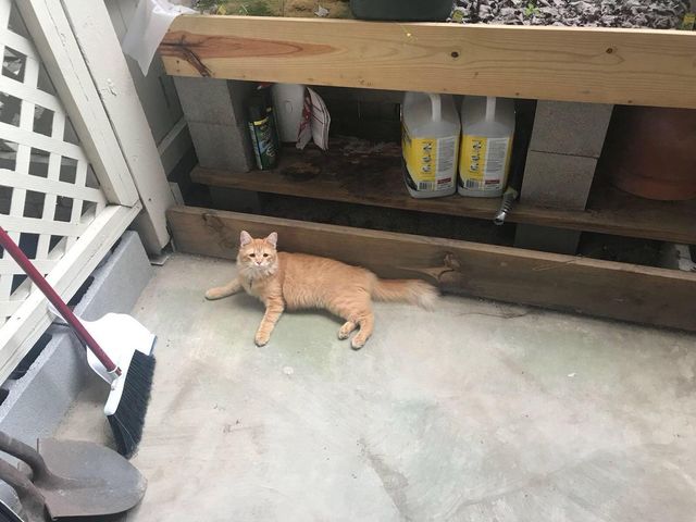 8055 Cambridge Street 79, Houston, TX 77054