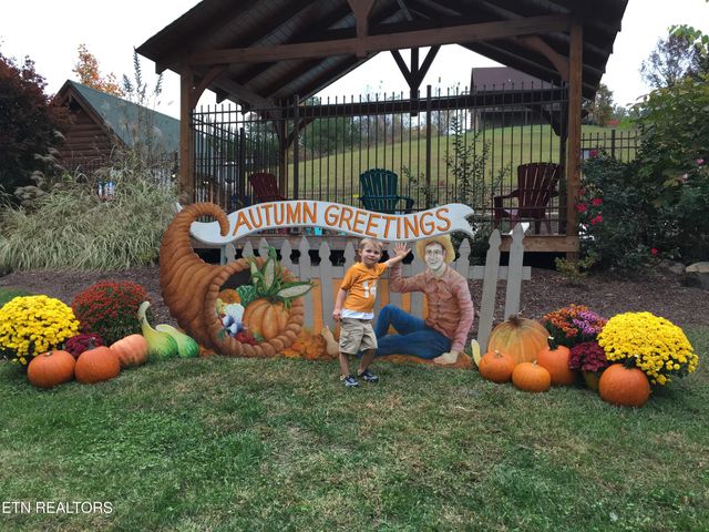 2234 Eagle Feather Drive, Sevierville, TN 37876