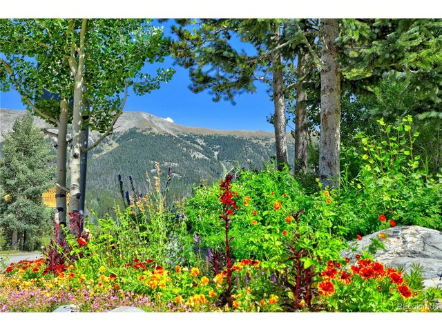 92 Wheeler Cir 114, Copper Mountain, CO 80443