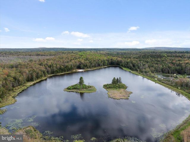 187 SAWMILL RD, Pocono Lake, PA 18348