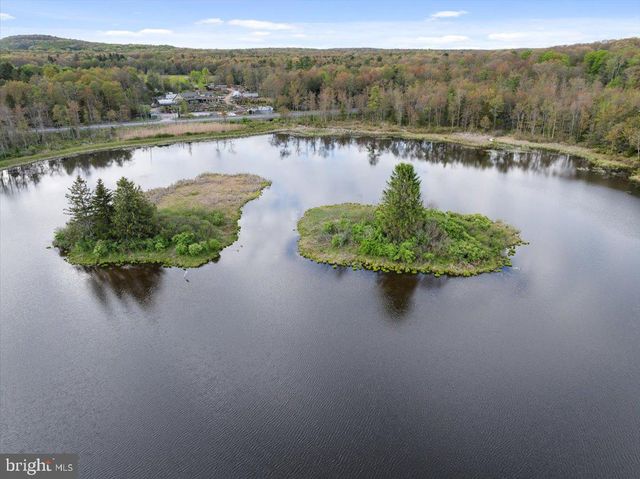 187 SAWMILL RD, Pocono Lake, PA 18348