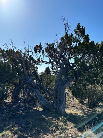 5 Canon De Manantial, Edgewood, NM 87015