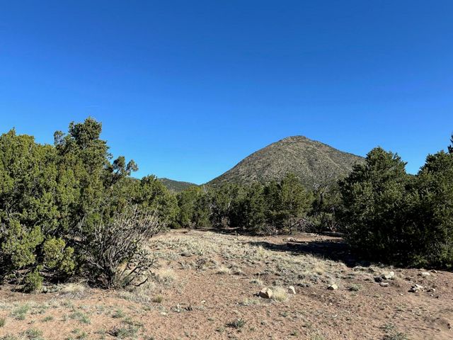 5 Canon De Manantial, Edgewood, NM 87015