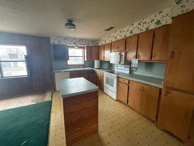 1209 W Elliott Street, Breckenridge, TX 76424