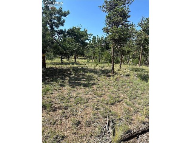 315 Thunder Ridge Rd, Florissant, CO 80816