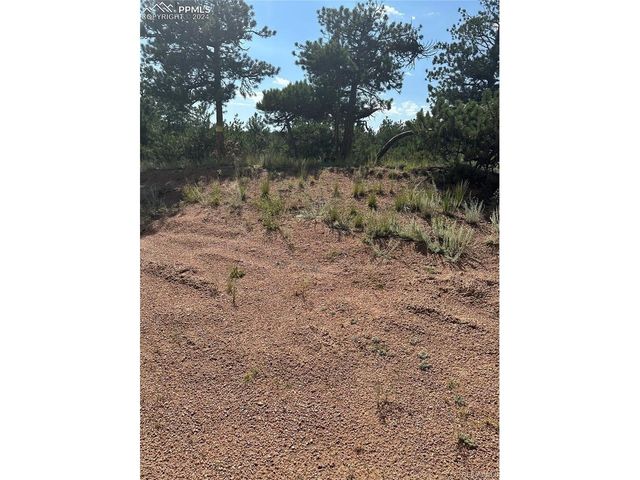 315 Thunder Ridge Rd, Florissant, CO 80816