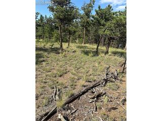 315 Thunder Ridge Rd, Florissant, CO 80816