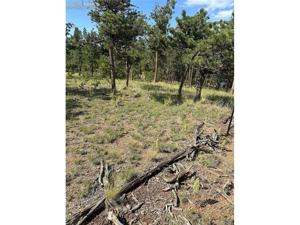 315 Thunder Ridge Rd, Florissant, CO 80816