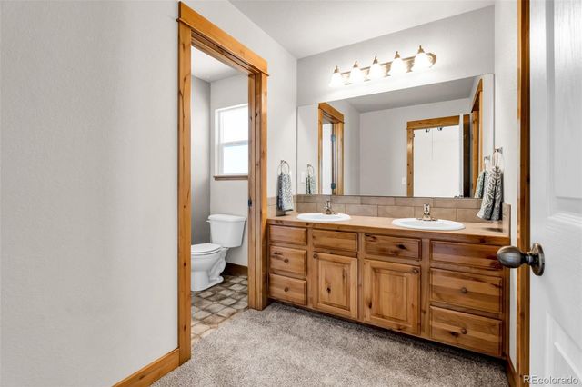 3133 Firewater Lane, Wellington, CO 80549