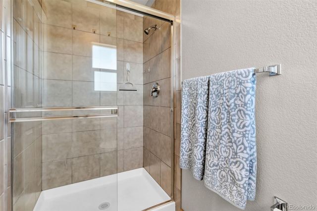 3133 Firewater Lane, Wellington, CO 80549