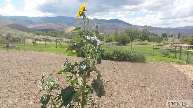 15 Skinner Lane, Salmon, ID 83467