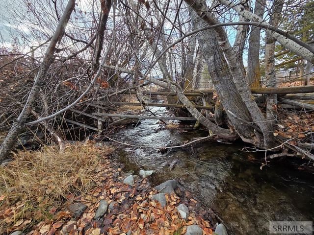 15 Skinner Lane, Salmon, ID 83467