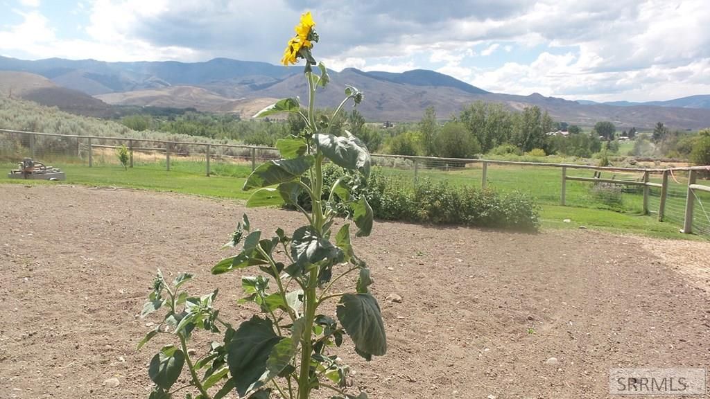 Image 21 of property listing at 15 Skinner Lane, Salmon, ID 83467