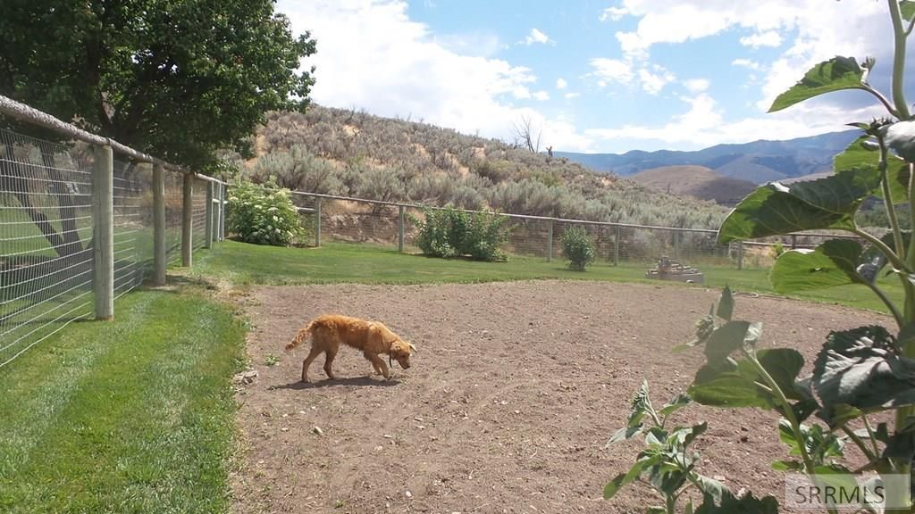 Image 54 of property listing at 15 Skinner Lane, Salmon, ID 83467