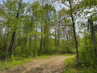 9270 Howling Wolf Drive NE, Turtle River Twp, MN 56601