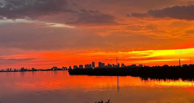 842 TENNYSON MILL CIRCLE, Tampa, FL 33619