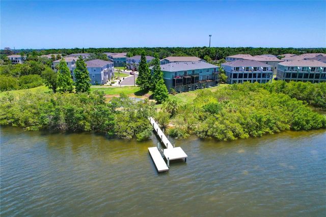 842 TENNYSON MILL CIRCLE, Tampa, FL 33619