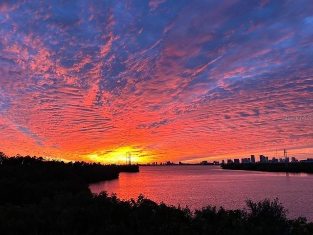 842 TENNYSON MILL CIRCLE, Tampa, FL 33619