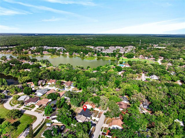 14841 OAK VINE DRIVE, Lutz, FL 33559