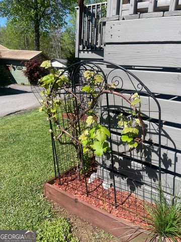 8 Cindy Parkway, Cleveland, GA 30528