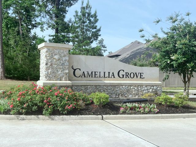 10023 Angelina Woods Lane, Conroe, TX 77384