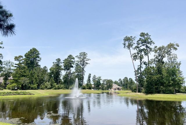 10023 Angelina Woods Lane, Conroe, TX 77384