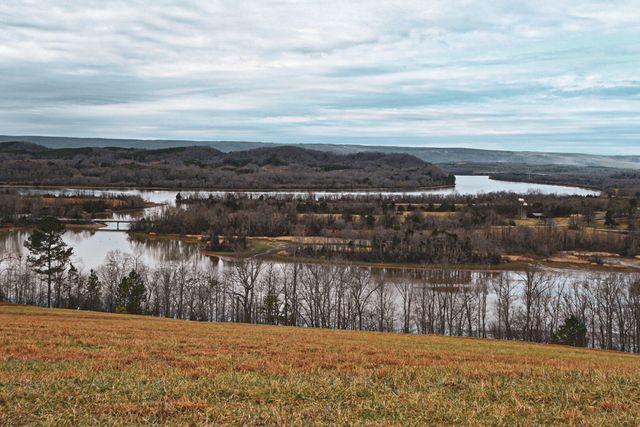 47 Mill Drive, Decatur, TN 37322
