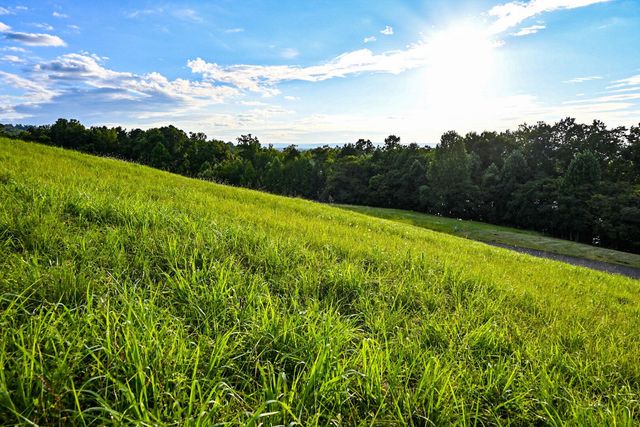 47 Mill Drive, Decatur, TN 37322