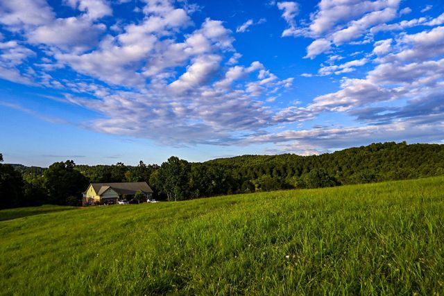 47 Mill Drive, Decatur, TN 37322